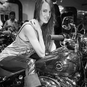 Harley-Davidson_007_Alice
